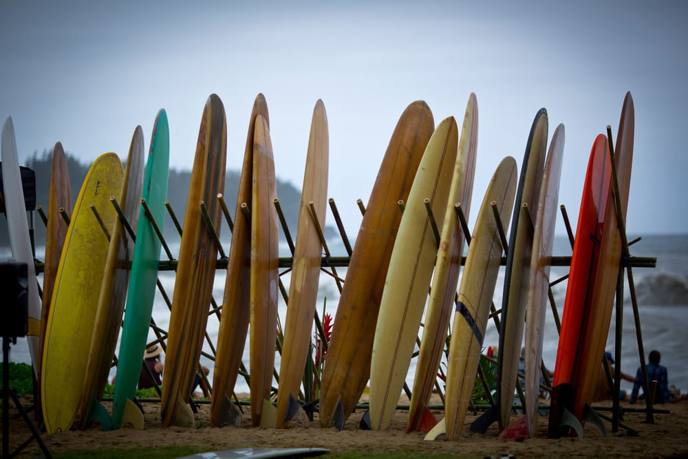 cómo elegir tabla de surf